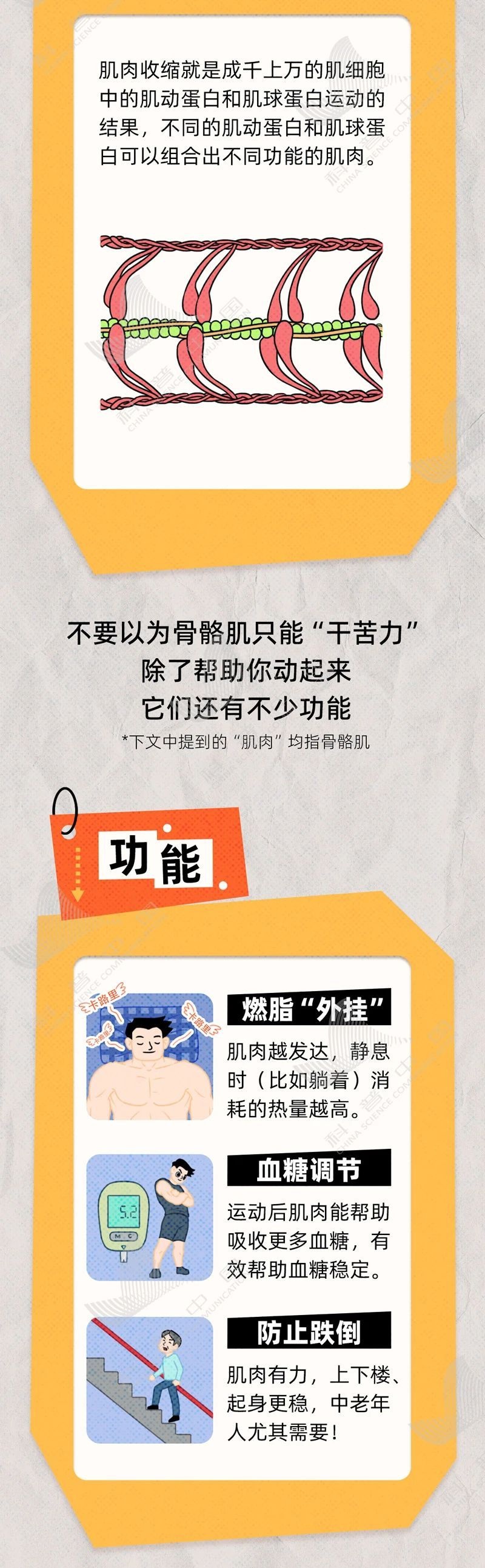 活中的点滴, div, 朴素道理