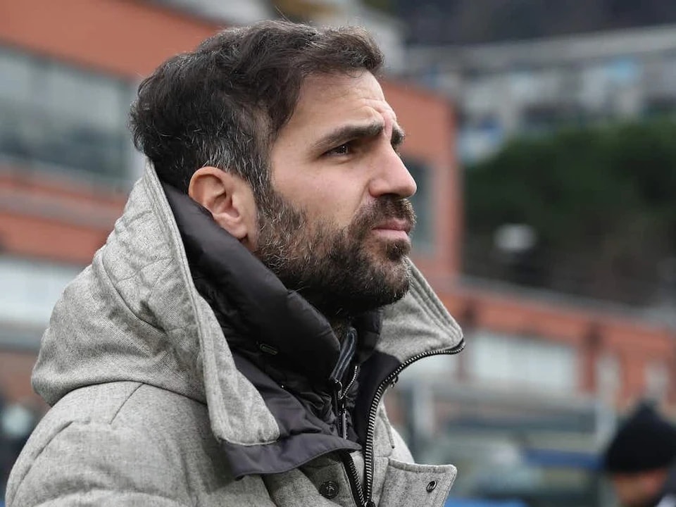 的报道, 莫已经将目, src 的报道, 莫已经将目, src