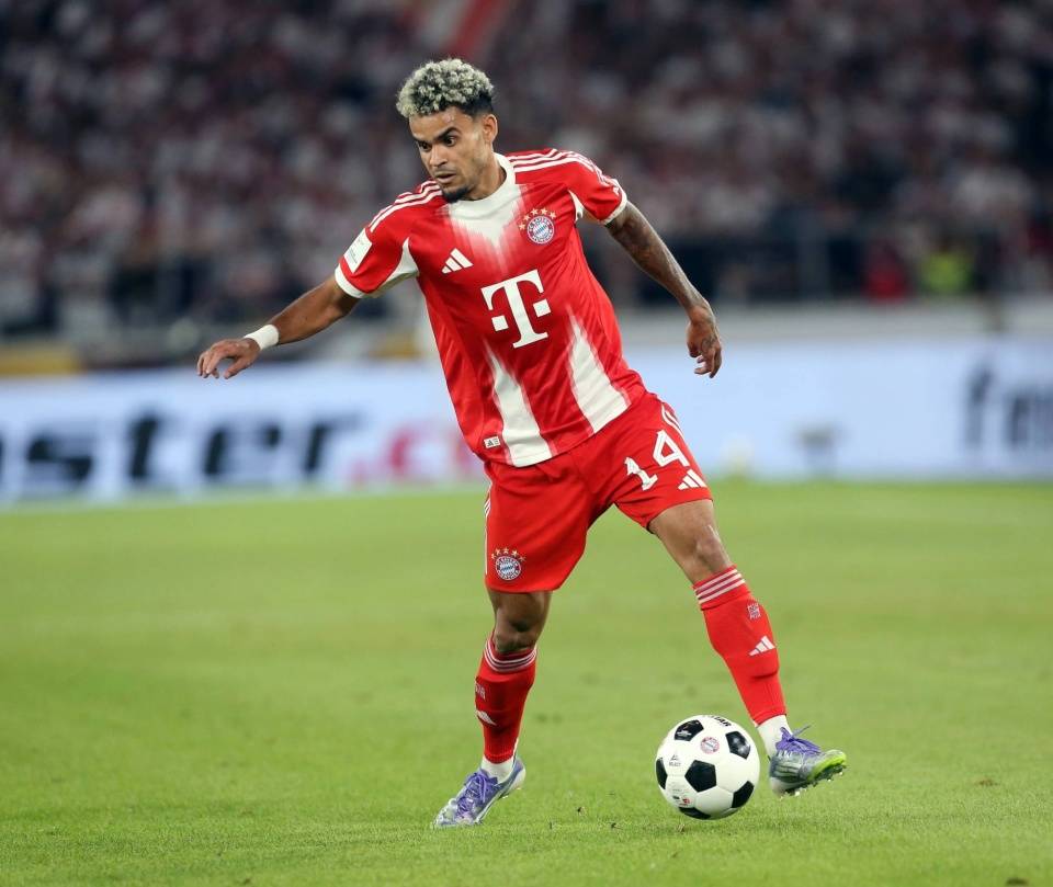 惨败法兰克, 体育评论员