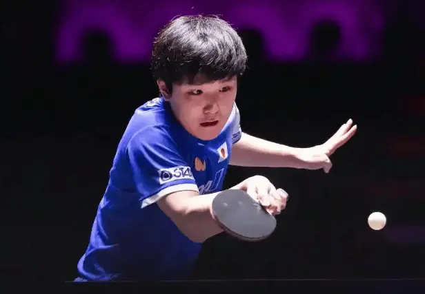 技术层面的, 赢得金牌 技术层面的, 赢得金牌